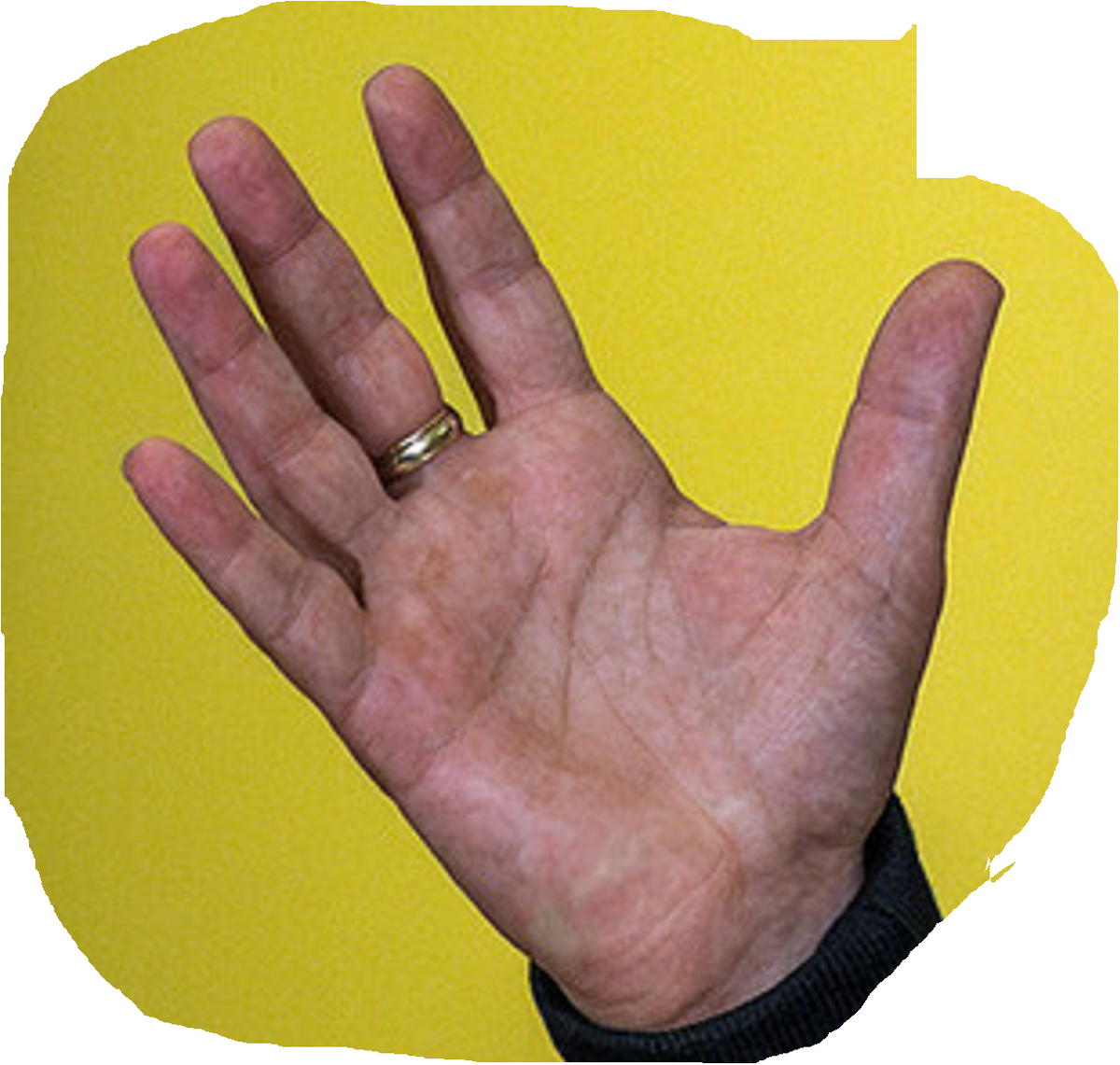 Рука Зеленского. Моя редакция фото из сети. 