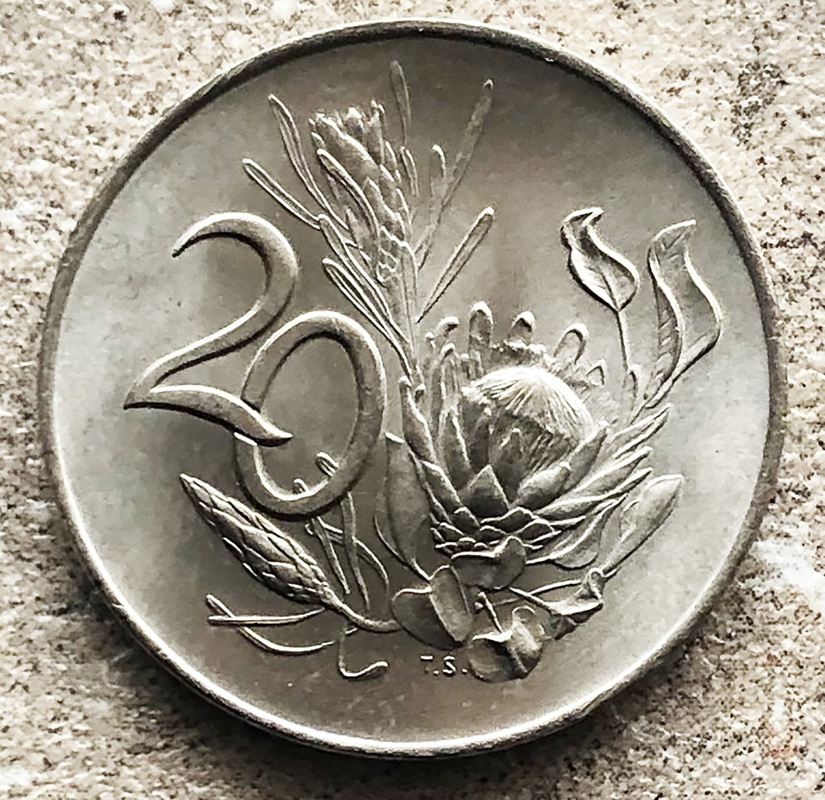 ЮАР 20 центов. Королевская Протея. Фото автора. 
