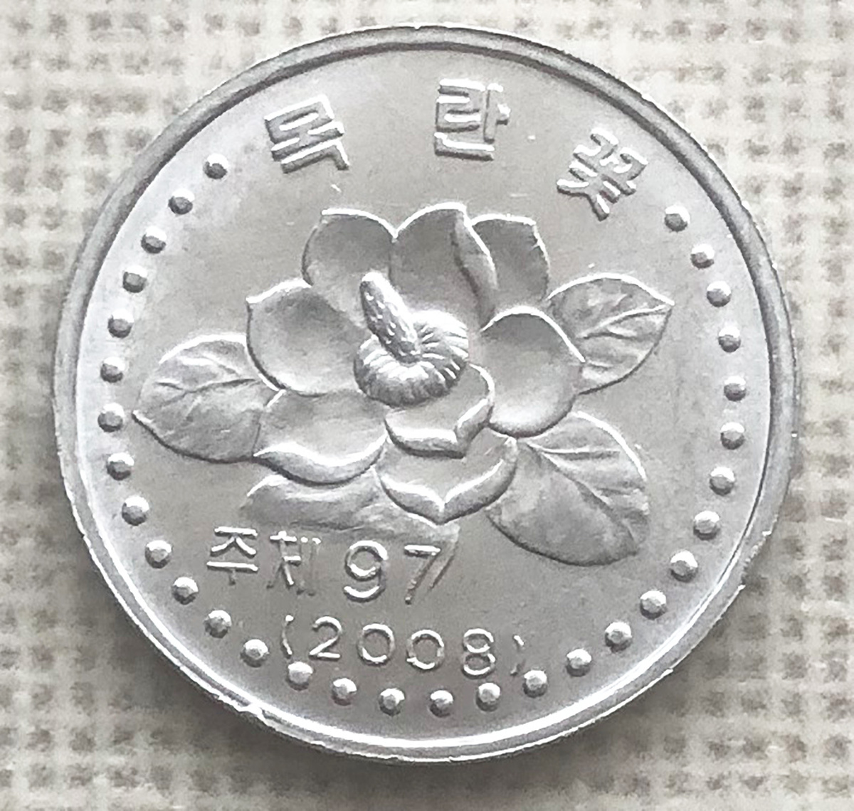 Корея Северная. 5 чон 2008. Магнолия. Фото автора. 