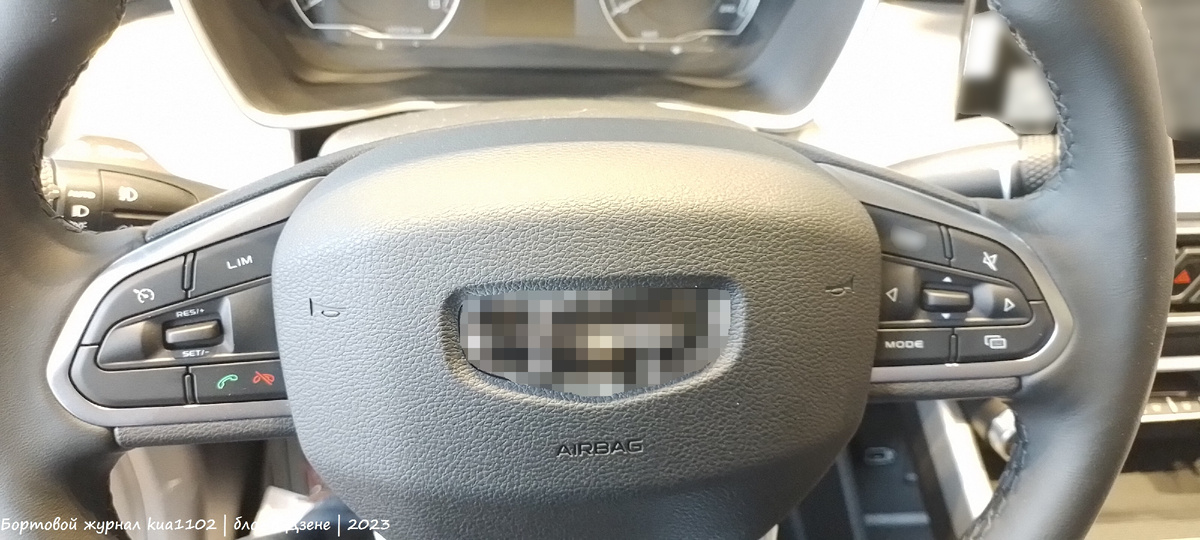 Мультируль в Geely Coolray. Автор фотографии kua1102