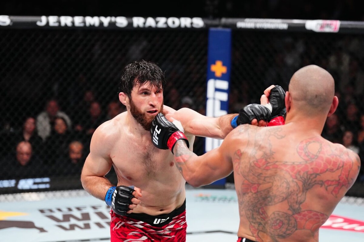     Магомед Анкалаев и Алекс Перейра