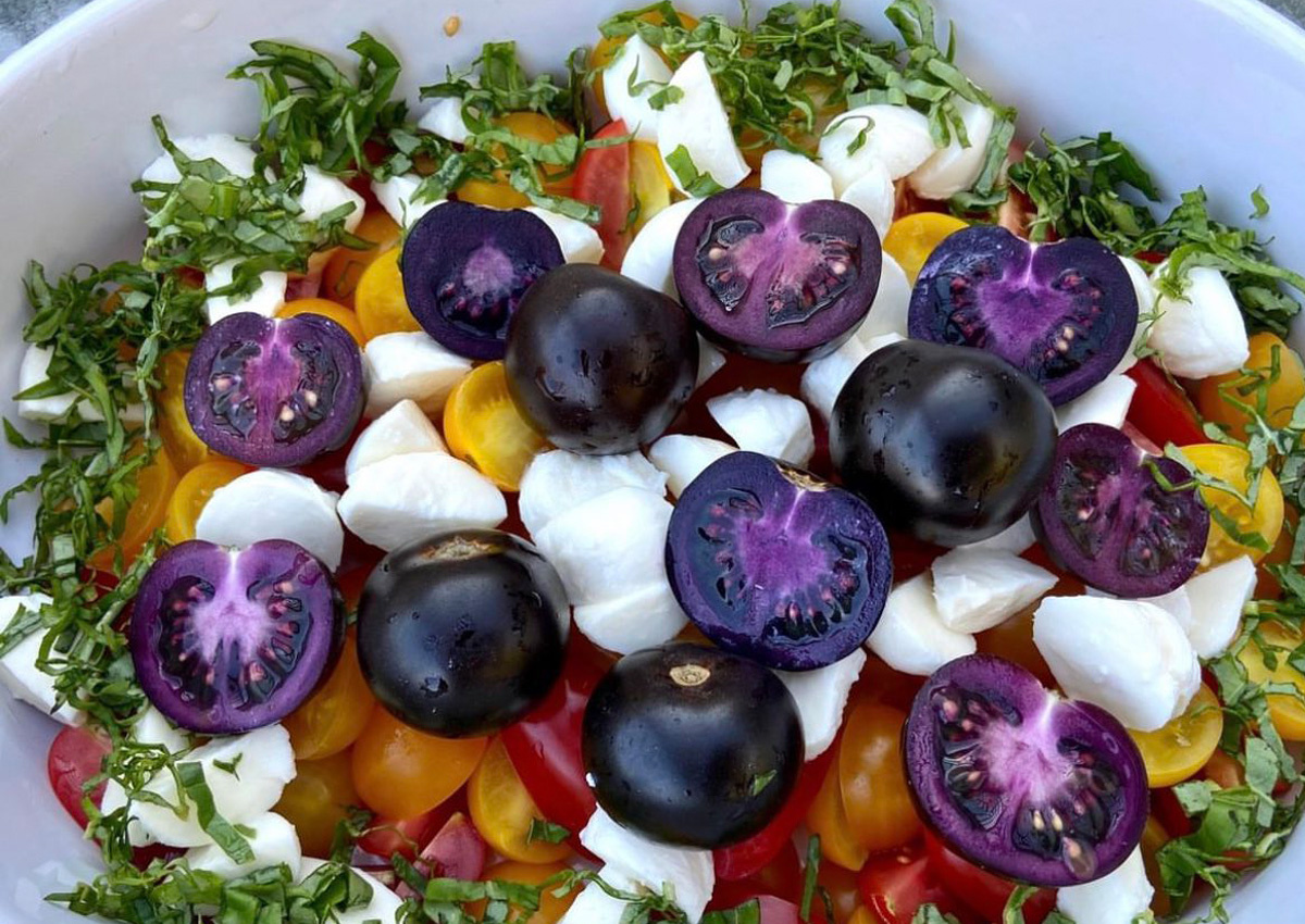 ГМО помидор. Фото из гугла.