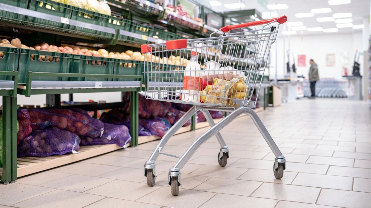    Фото: Сергей Зубков/«Ямал-Медиа»