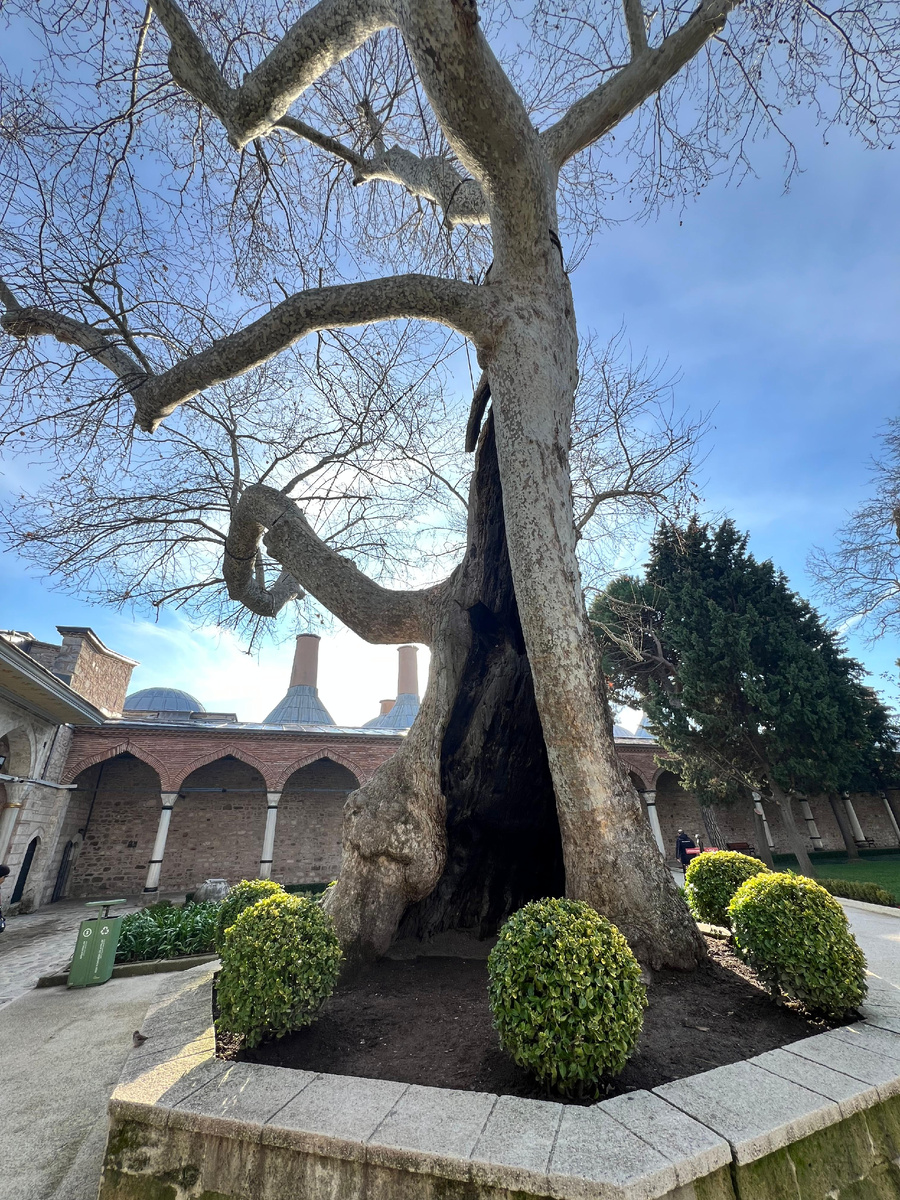 Topkapi Palace 1 двор 
