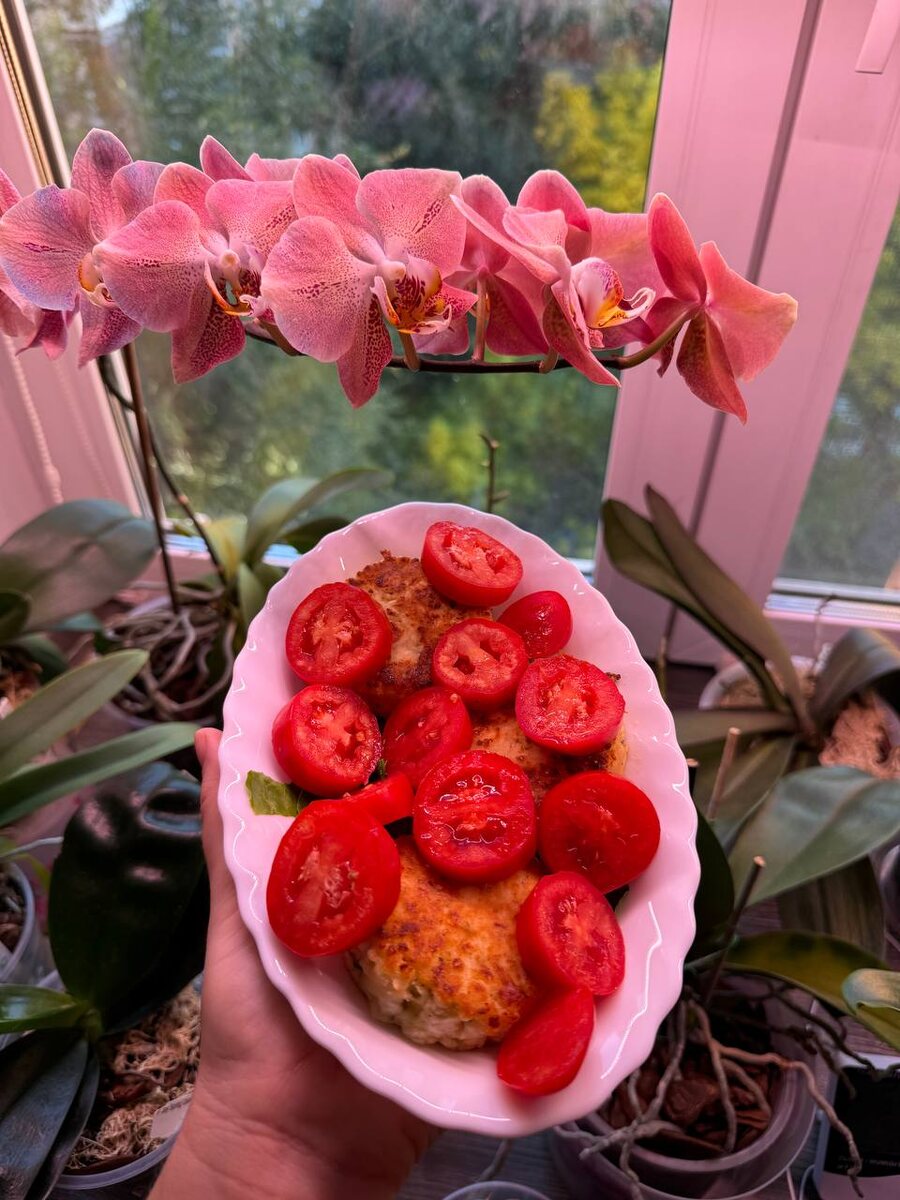 Варианты сервировки сырных сырников