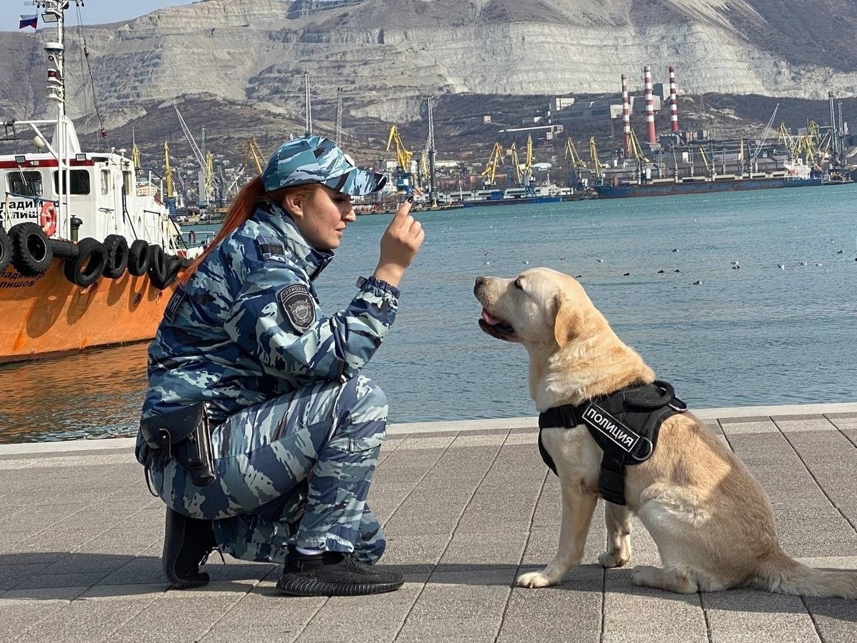 Утро в Новороссийске!Полная гармония!