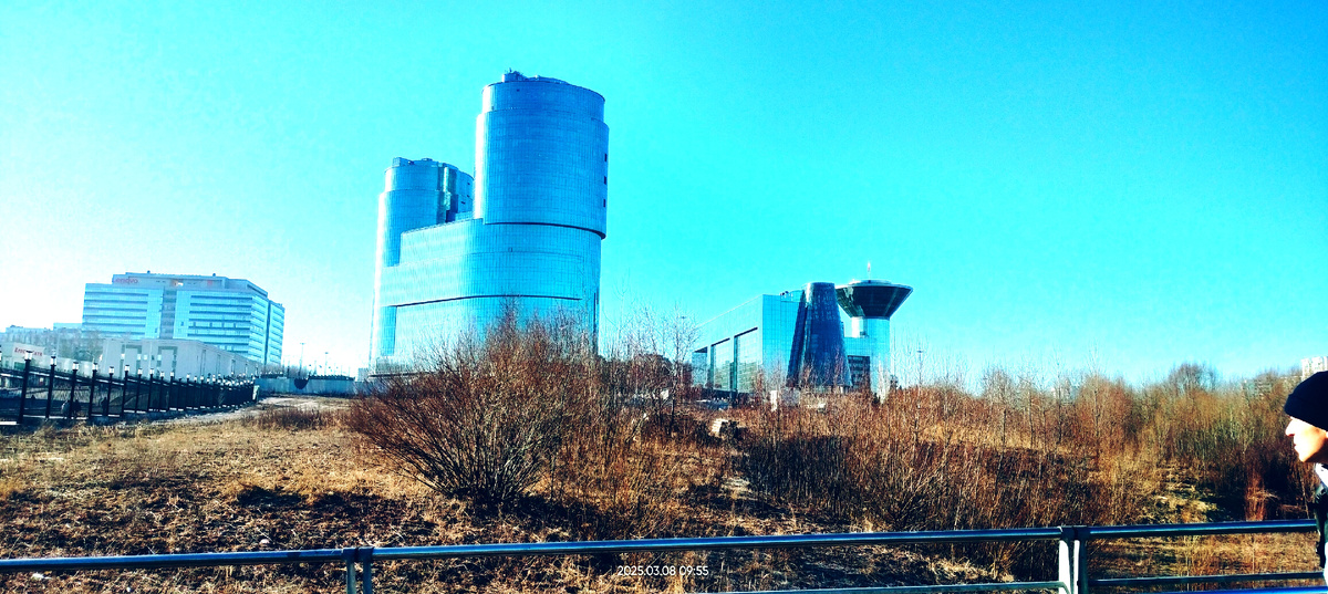 Как интересно граничит природа и урбания)