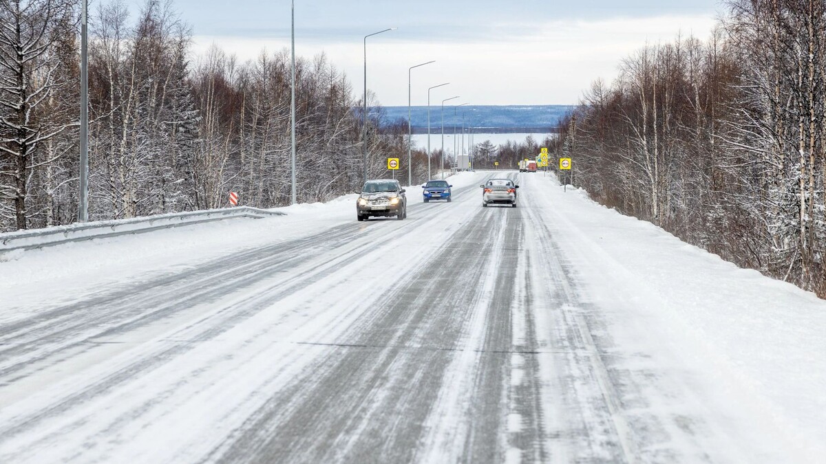    Фото: Федор Воронов/«Ямал-Медиа»