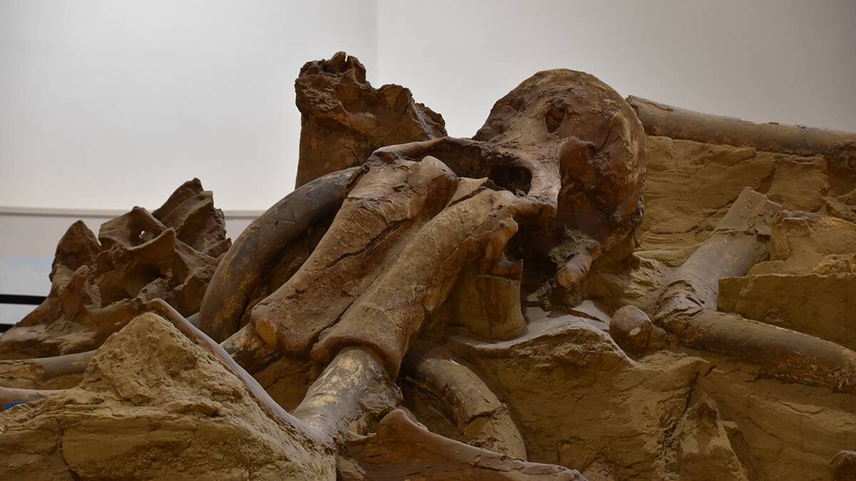    Фото: Shutterstock