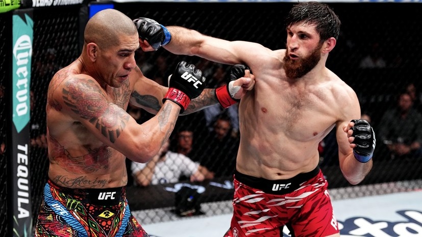     Бойцы UFC Алекс Перейра и Магомед Анкалаев Gettyimages.ru Jeff Bottari / Contributor