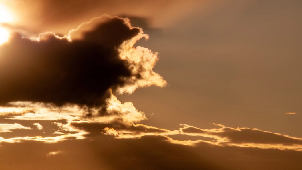    Светлана Возмилова/Global Look Press