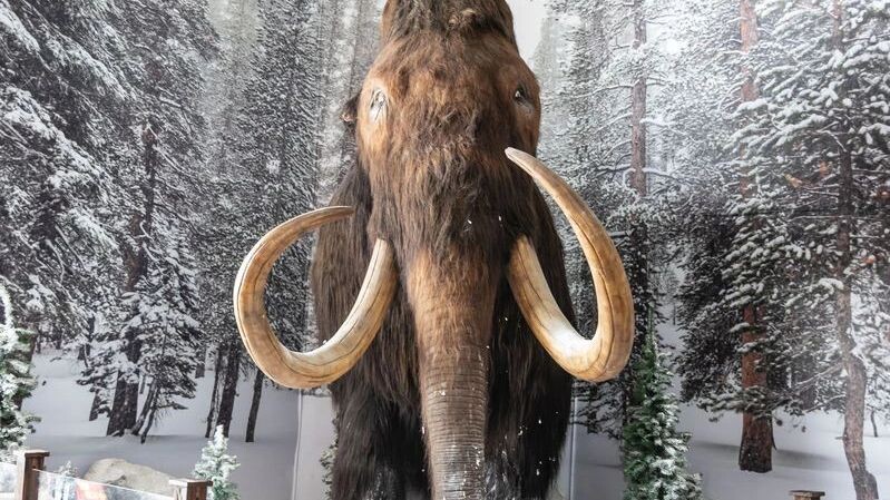    Фото: PradaBrown/Shutterstock/Fotodom