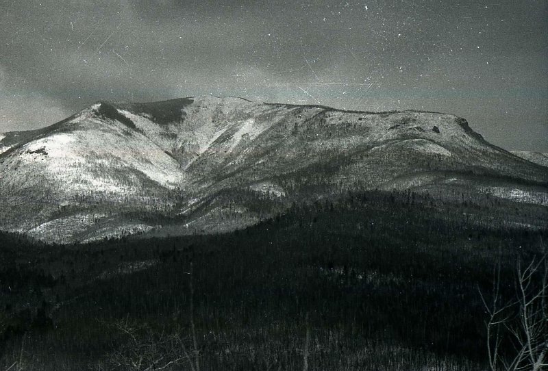 Садовое месторождение, 1979 год