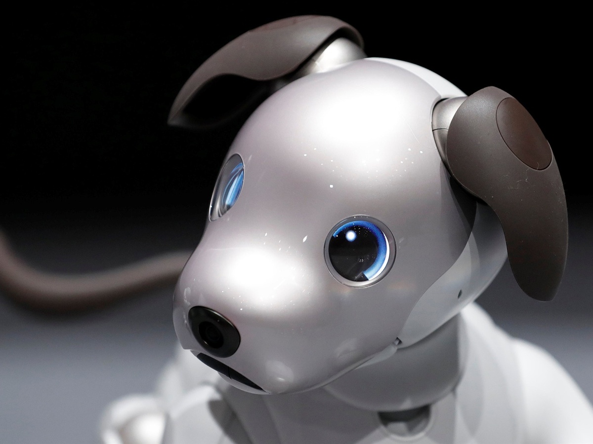    Собака-шпион: как ИИ использует домашних любимцев для слежки