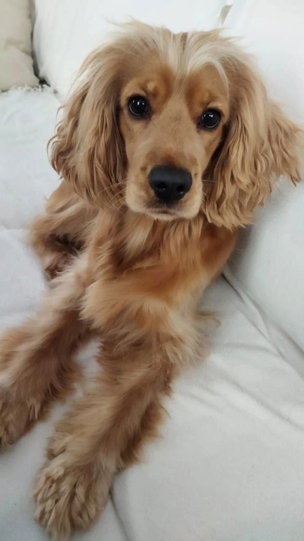 Можно листать------->