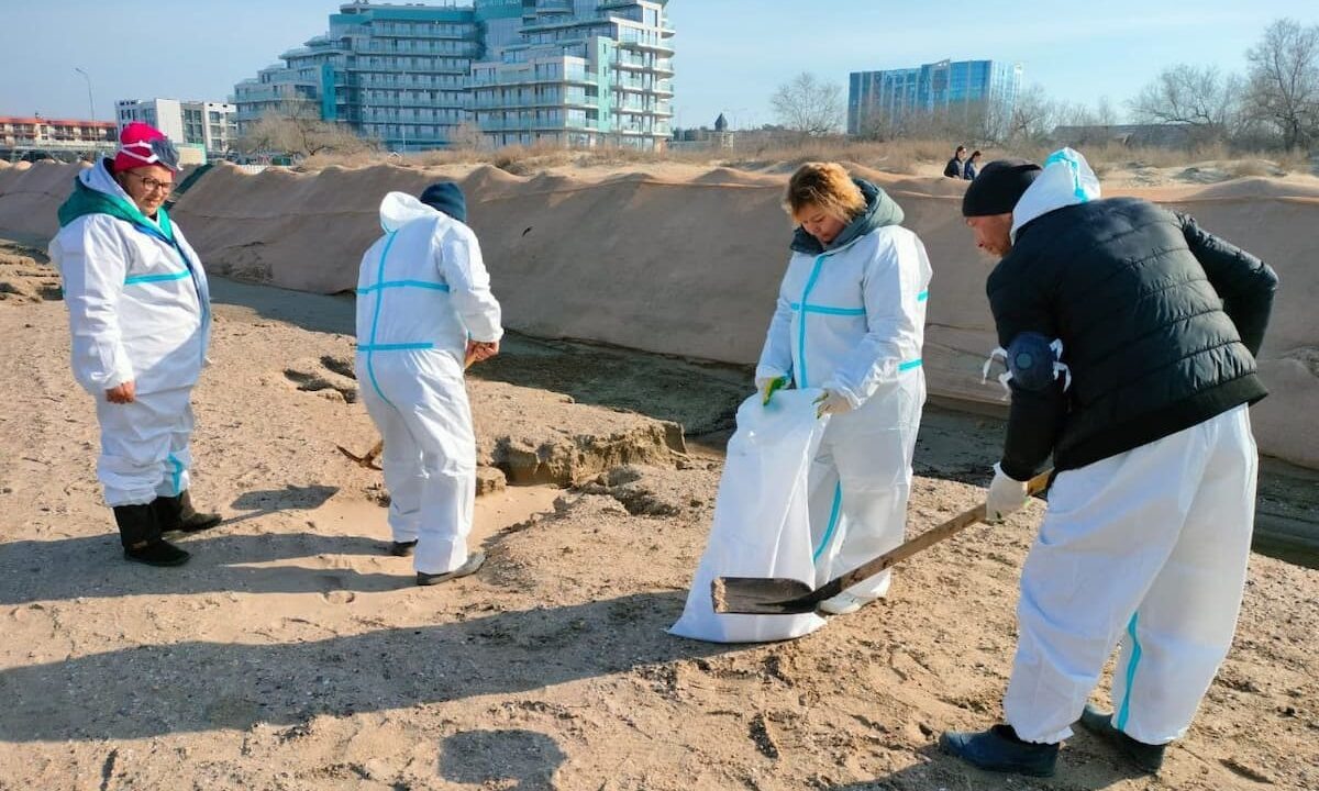    Фото t.me/opershtab23