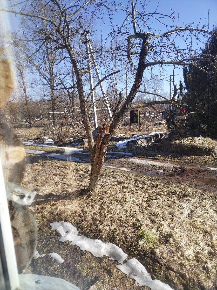 Сегодня, грязно, но весна! 🥰