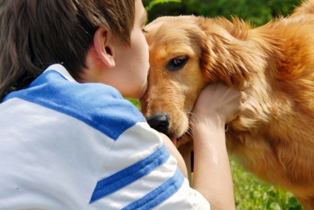 Исследование, проведенное учеными из Университета Пенсильвании, показало, что собаки могут стать настоящим антистрессовым средством для людей. В ходе эксперимента было обнаружено, что при контакте с собаками у людей снижается уровень стресса и улучшается настроение.
