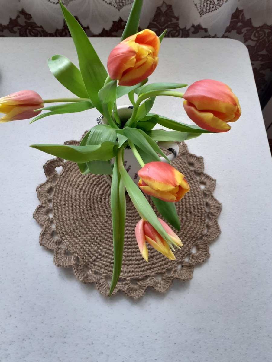 А эти тюльпаны зять подарил