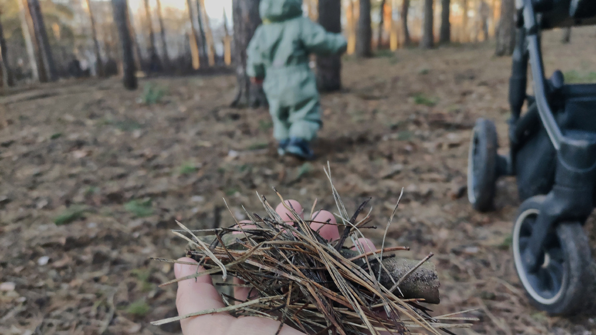 Принёс маме