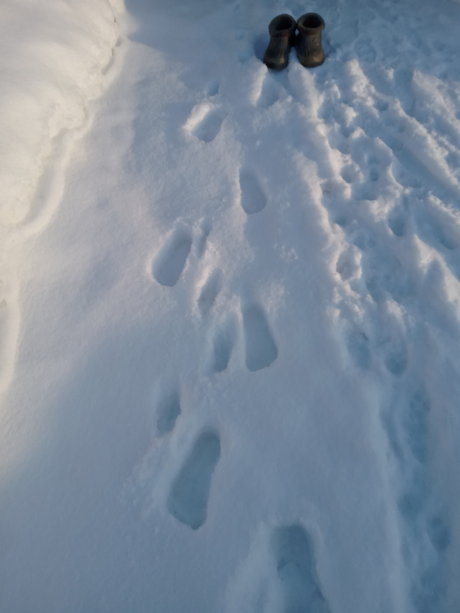 Следы снежного человека. Теперь и на нашем канале! Боты тоже его!