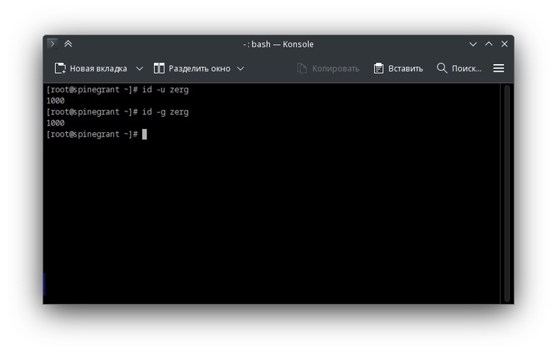 Получение id пользователя и id группы