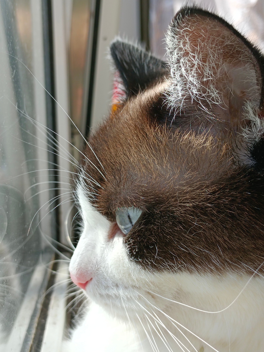 А за окном весна!🌷