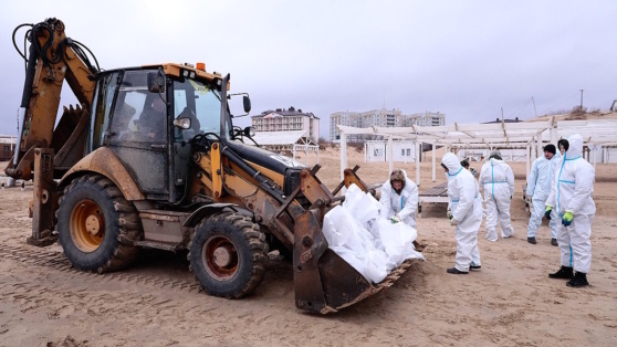    Новые выбросы мазута зафиксировали на побережье Анапы ©Roman Naumov/URA.RU/Global Look Press