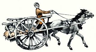 Картинка из открытых источников в сети Интернет