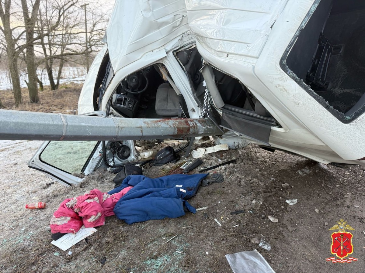    Фото: ГУ МВД по Петербургу и Ленобласти