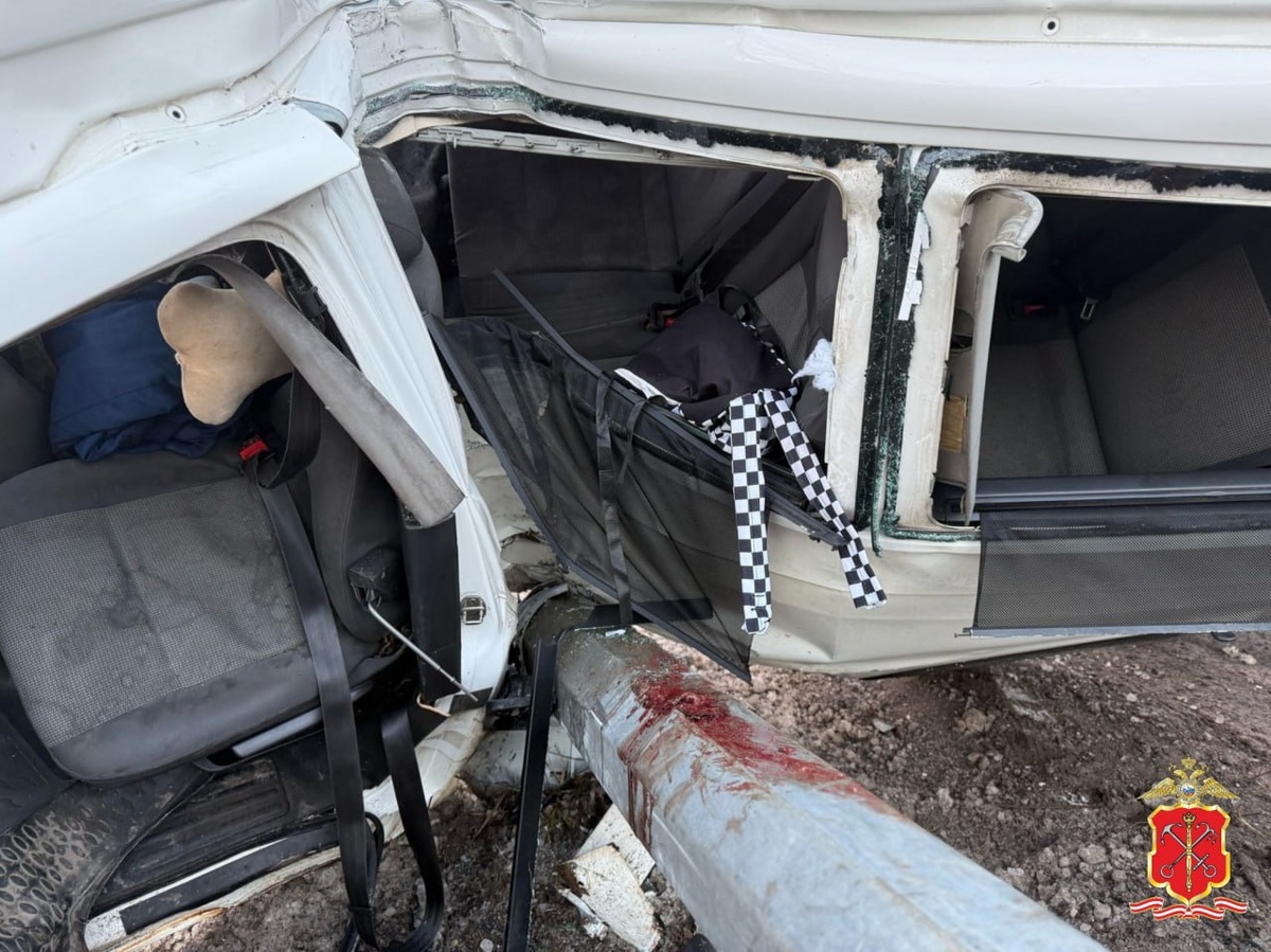    Фото: ГУ МВД по Петербургу и Ленобласти