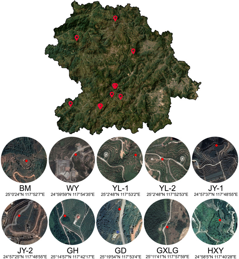 pmc.ncbi.nlm.nih.gov