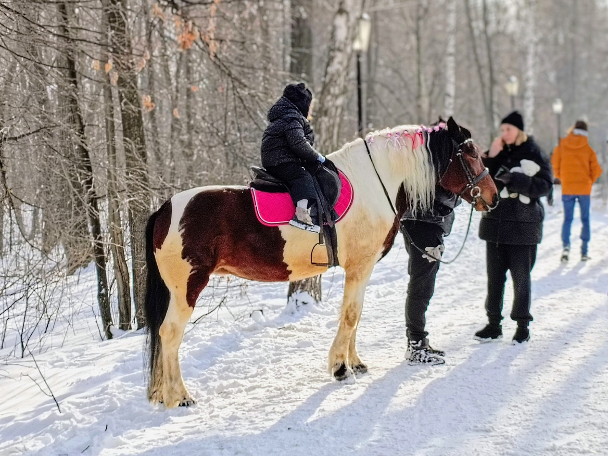 Большому наезднику - большого коня!