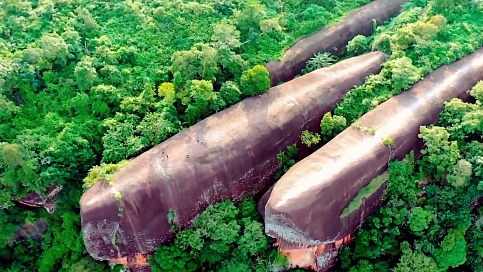 Фото: © Кадр из программы "Невероятно интересные истории", РЕН ТВ