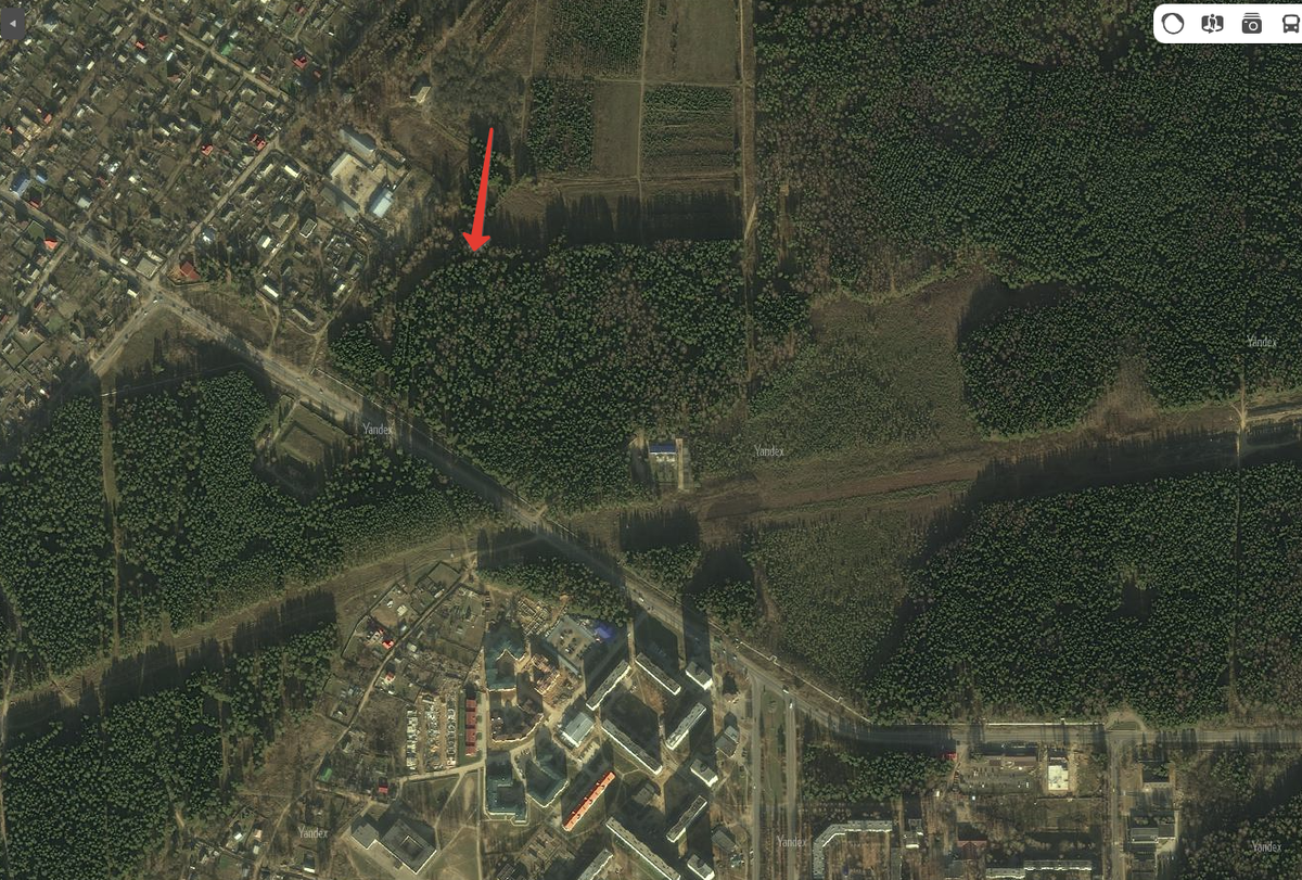 Наш городок утопает в еловых лесах.