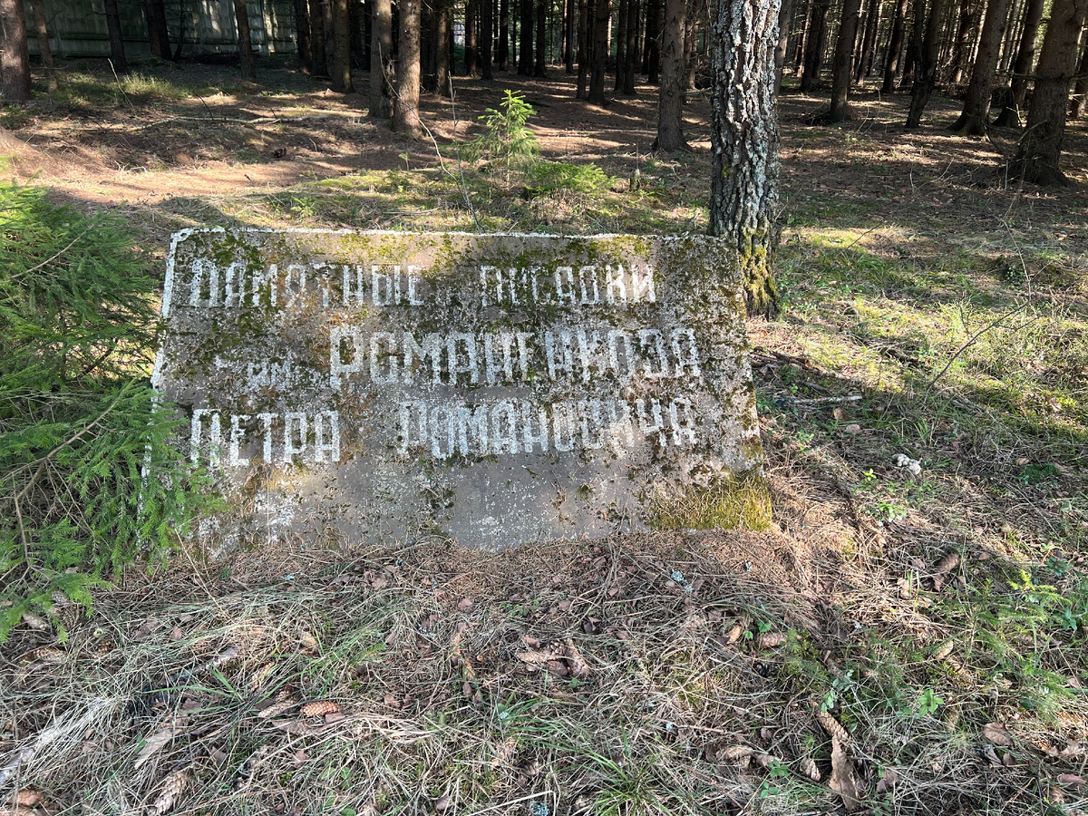 Фото автора. 09.03.2025