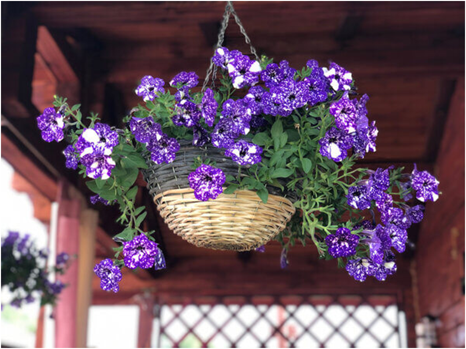 Фото из открытых источников. 