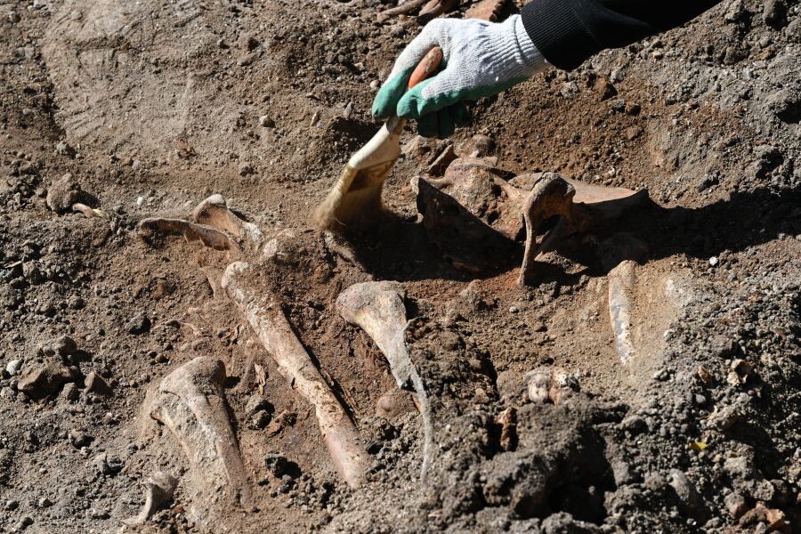     / Источник: © Константин Михальчевский/РИА Новости