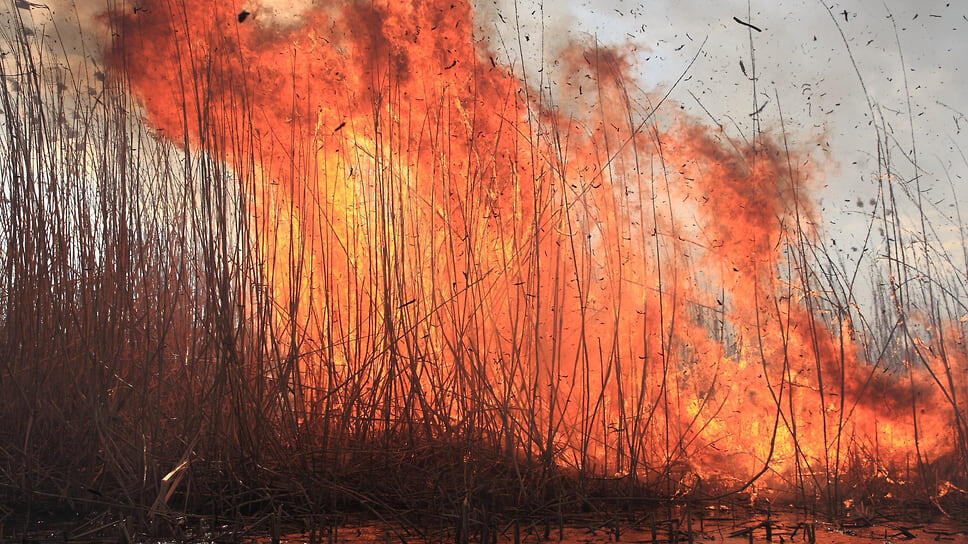 Фото: Андрей Коршунов / Коммерсантъ