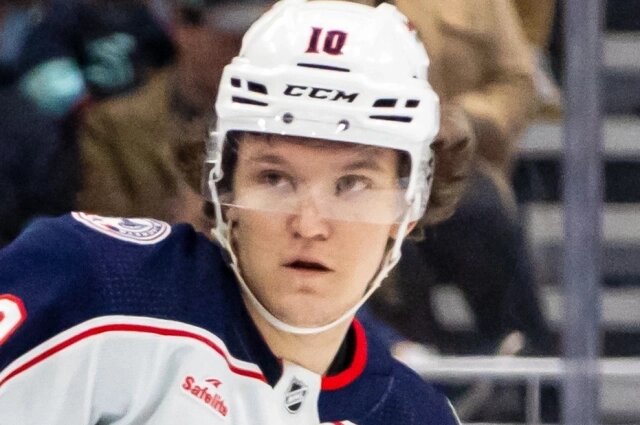    Дмитрий Воронков. Фото: ru.wikipedia.org