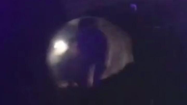 Скрин видео.