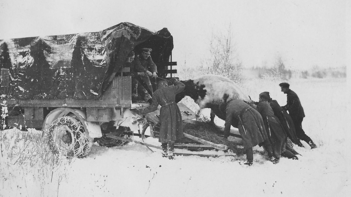 Гитлеровцы отбирают у местных жителей корову