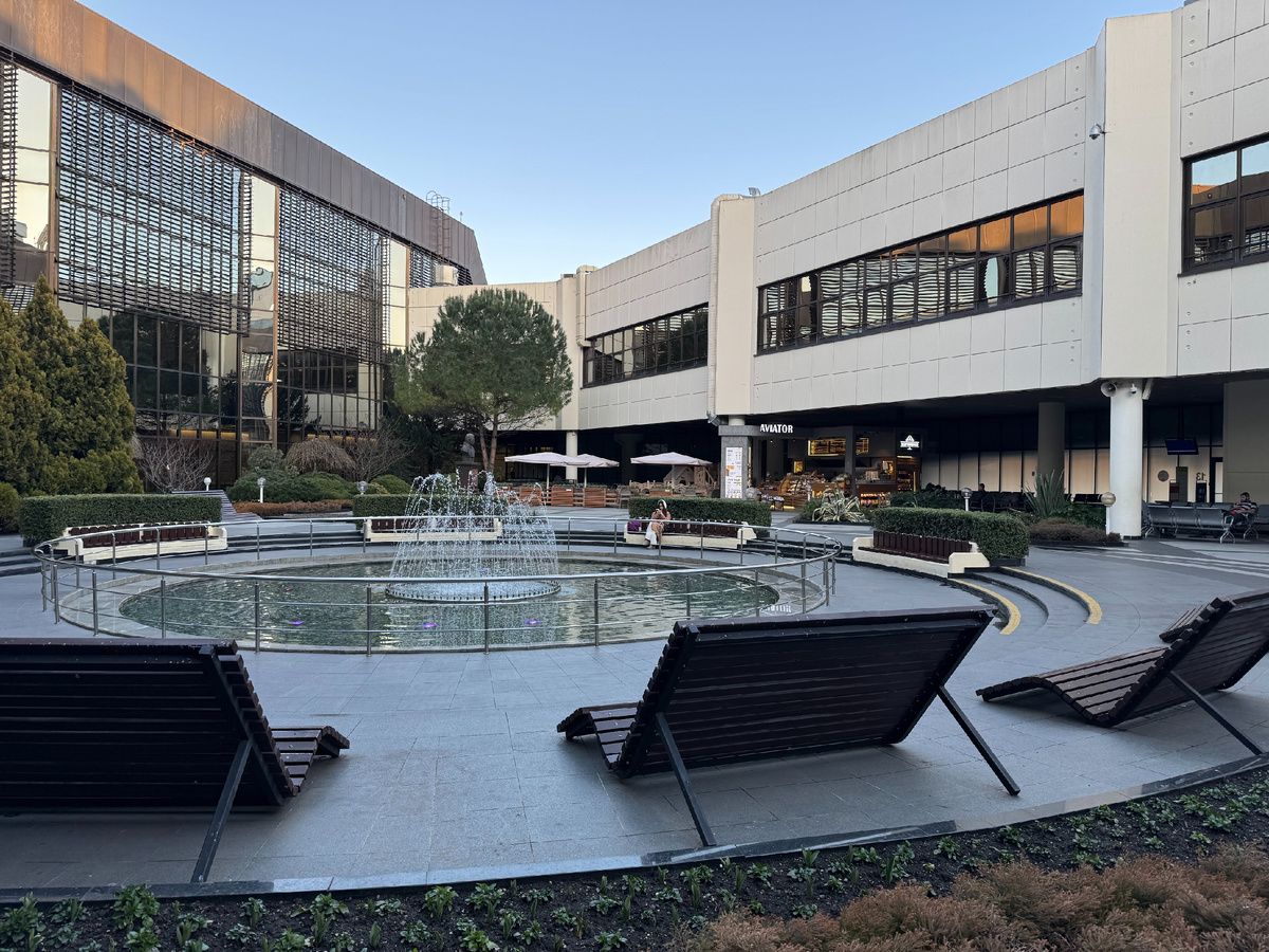 Сад на внутренних линиях в аэропорту Сочи... Фото автора