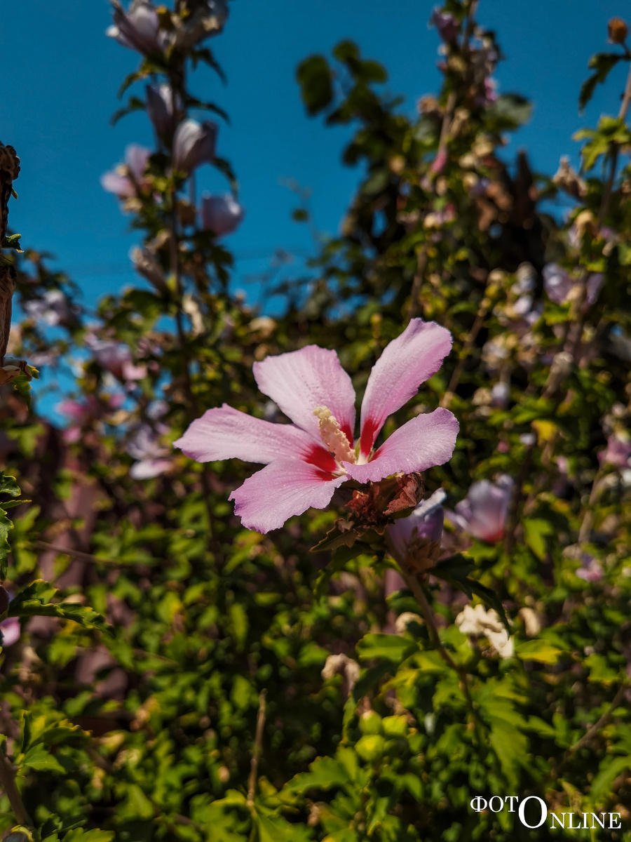 листайте вправо