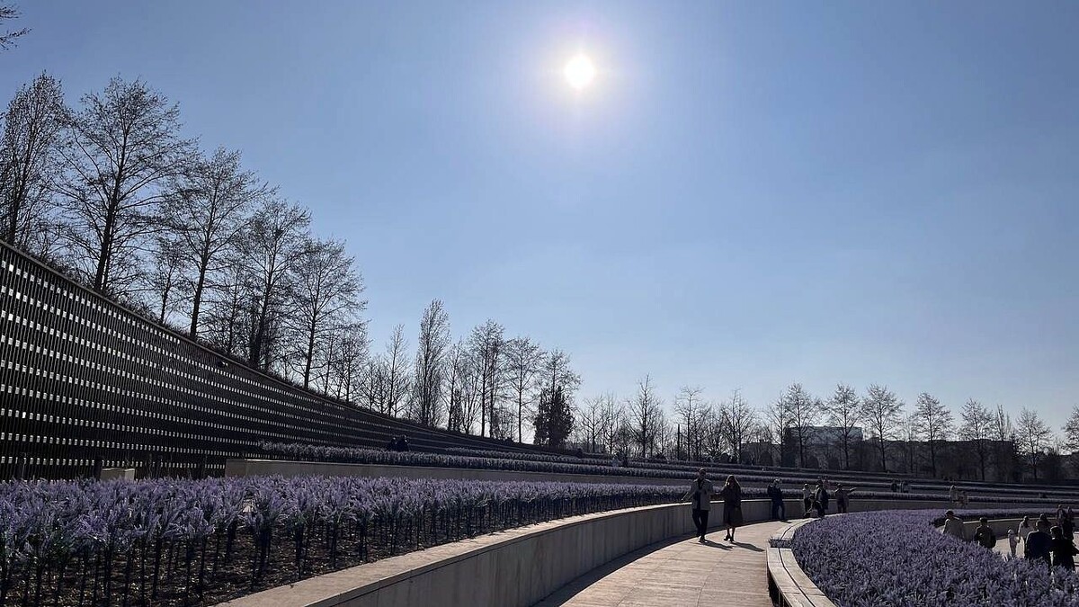    Фото: телеканал «Краснодар»