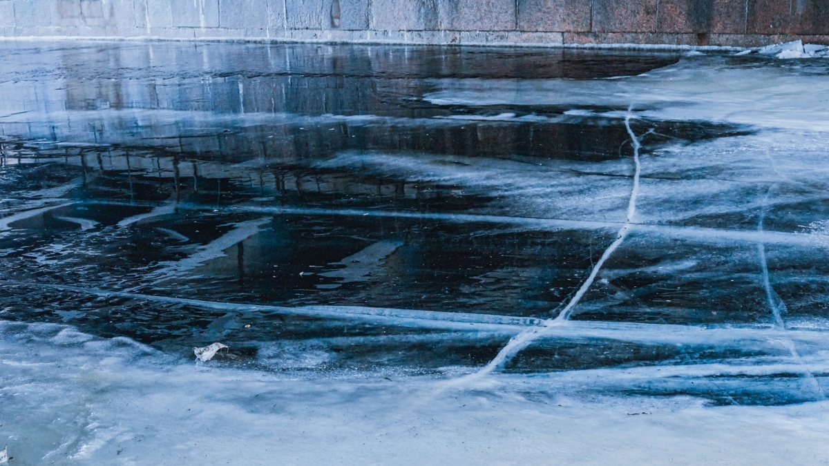 Автор Светлана Мулыкина📷
