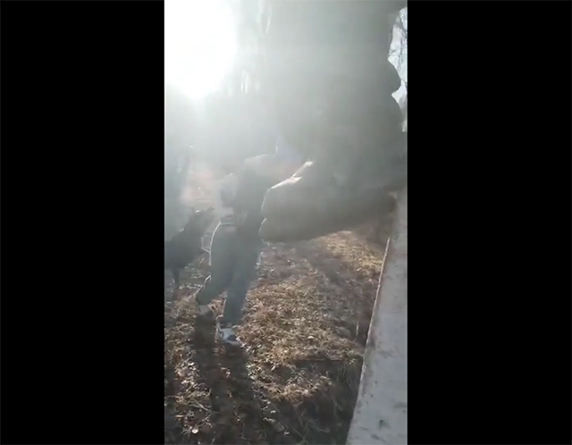 В поселке Редкино охотничий пес напал на троих мальчишек. Один снимает уже из-за забора, второй сидит на заборе, а третий за всех отдувается