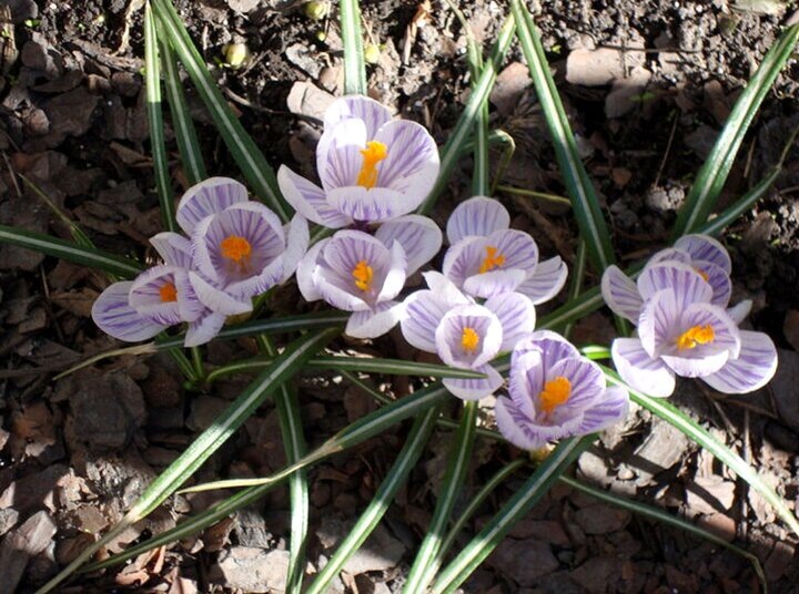 Фото автора. Май 2024 года