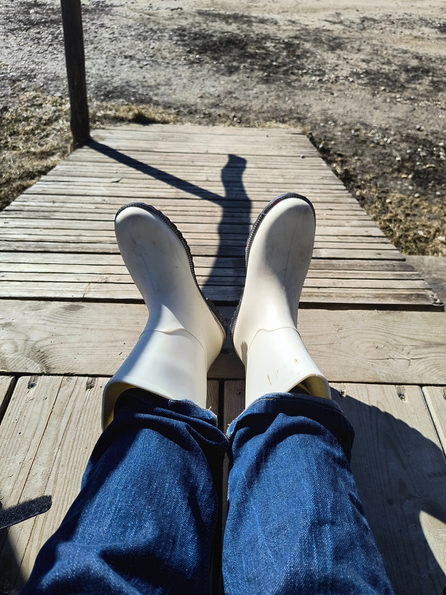 Я готова к приключениям!