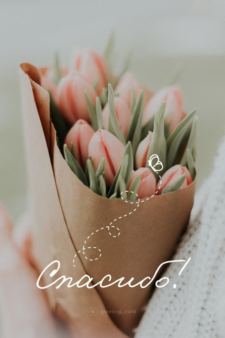 Фото из Яндекс. 